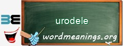 WordMeaning blackboard for urodele